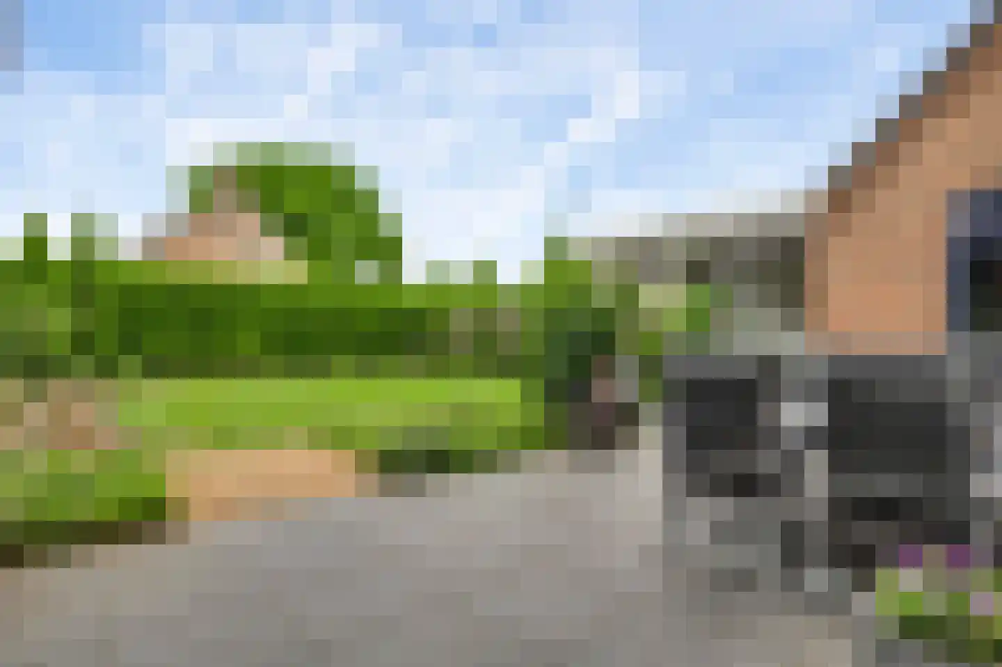 Bruine Akkers 155 Maarheeze thumbnail 36