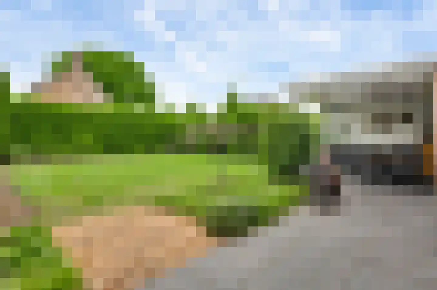 Bruine Akkers 155 Maarheeze thumbnail 37