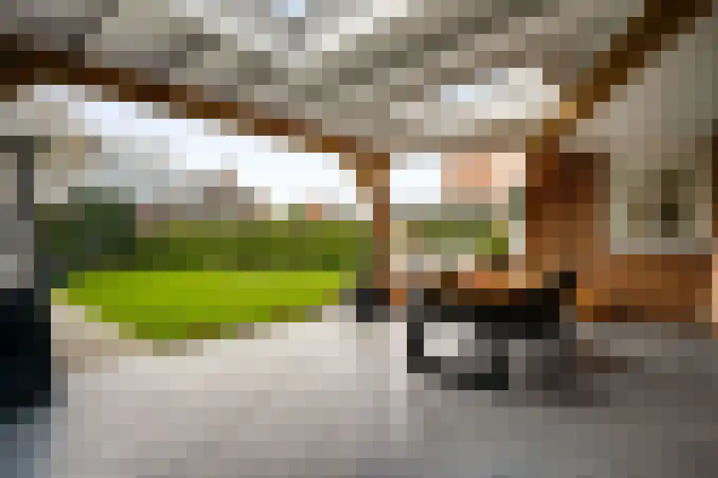 Bruine Akkers 159 Maarheeze thumbnail 30