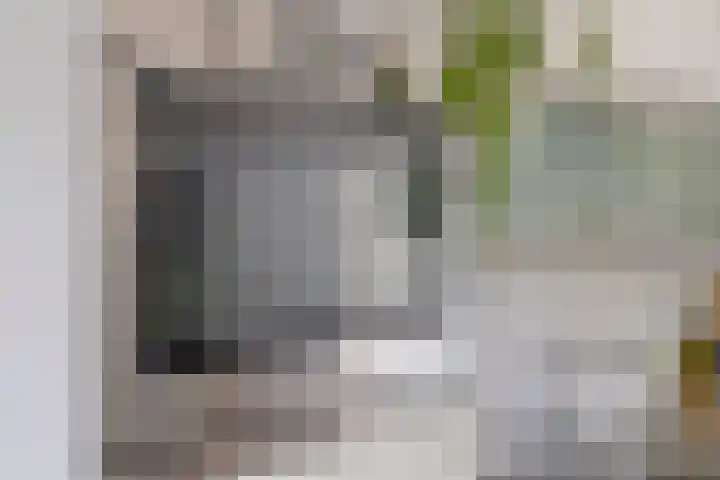 Bruine Akkers 48 Maarheeze thumbnail 21