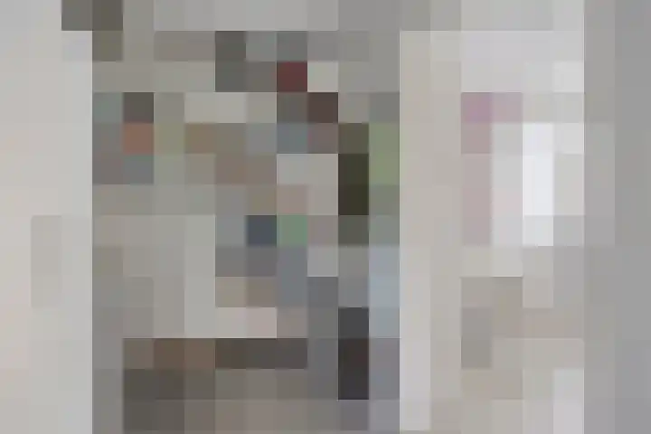 Bruine Akkers 48 Maarheeze thumbnail 23