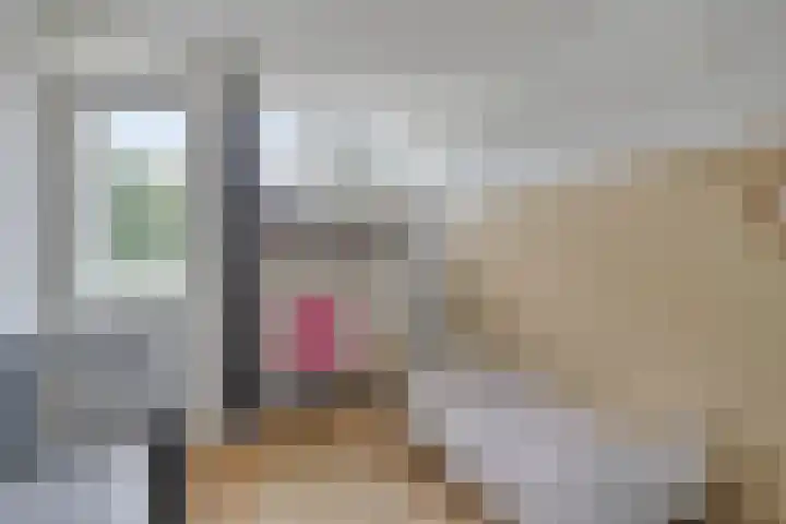 Bruine Akkers 48 Maarheeze thumbnail 29