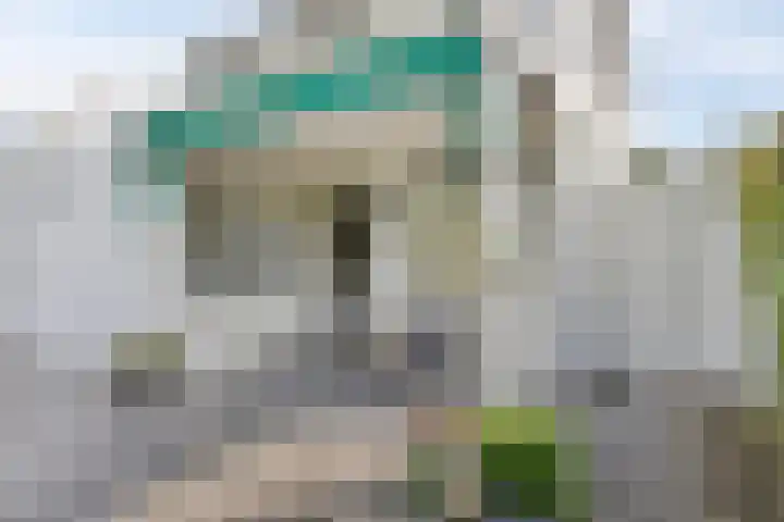 Bruine Akkers 48 Maarheeze thumbnail 48
