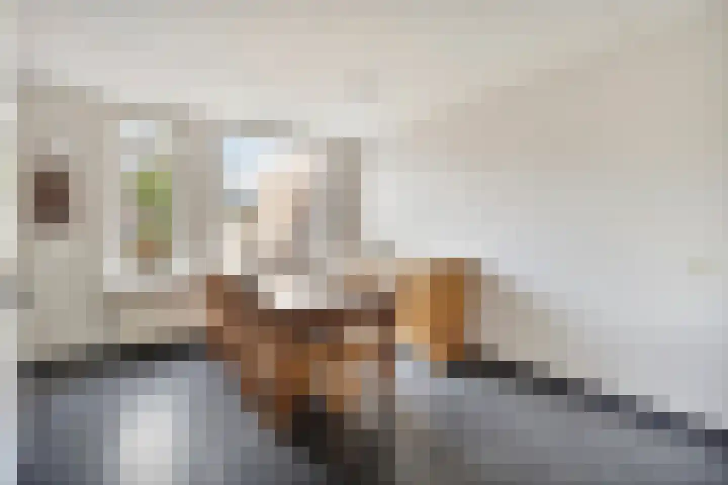 Bruine Akkers 6 Maarheeze thumbnail 12
