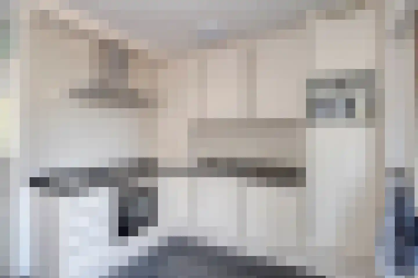 Bruine Akkers 6 Maarheeze thumbnail 5