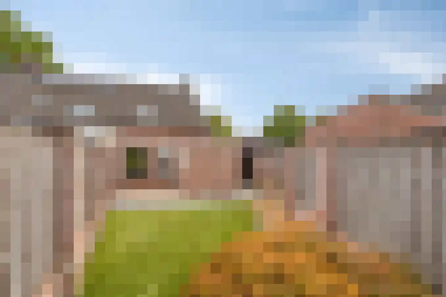 Bruine Akkers 6 Maarheeze thumbnail 6