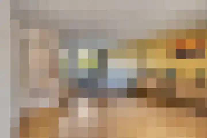 Bruine Akkers 63 Maarheeze thumbnail 13
