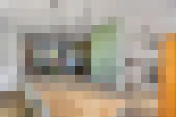 Bruine Akkers 63 Maarheeze thumbnail 17