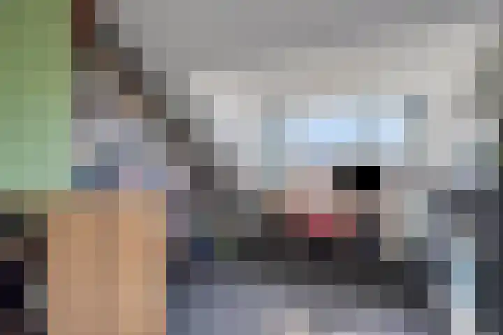 Bruine Akkers 63 Maarheeze thumbnail 28
