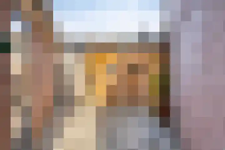 Bruine Akkers 63 Maarheeze thumbnail 31