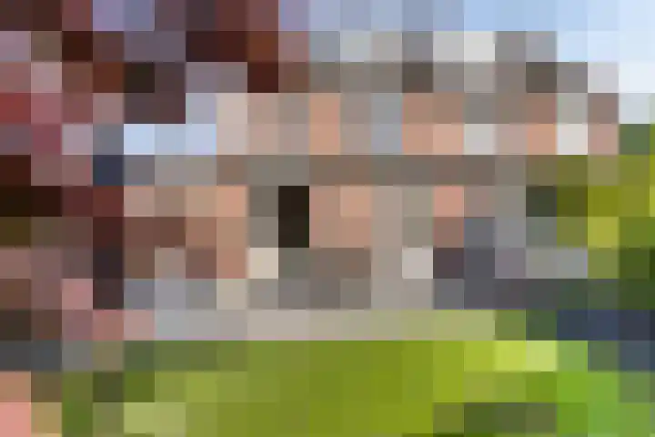 Bruine Akkers 63 Maarheeze thumbnail 32