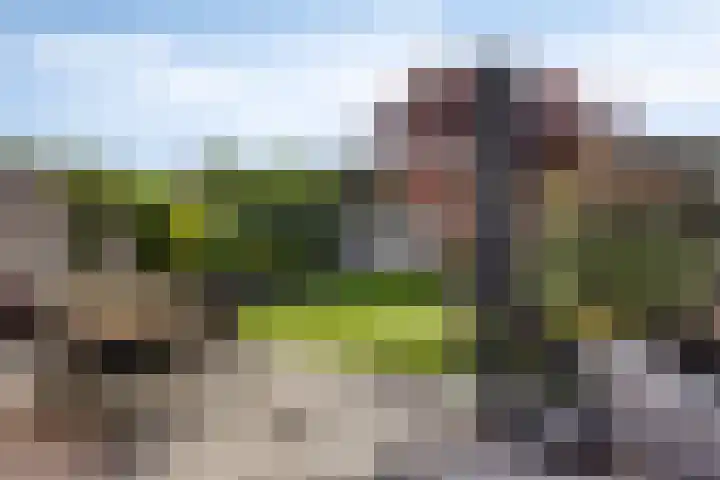 Bruine Akkers 63 Maarheeze thumbnail 33