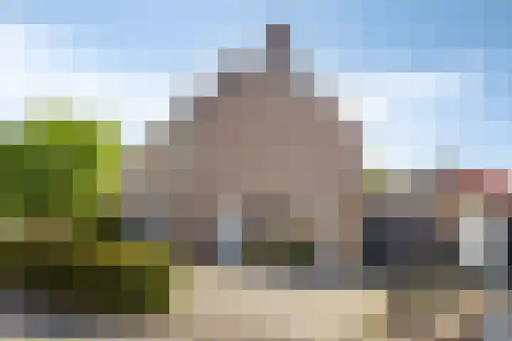 Bruine Akkers 63 Maarheeze thumbnail 38