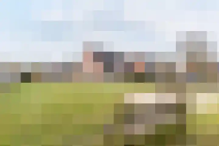 Bruine Akkers 63 Maarheeze thumbnail 42