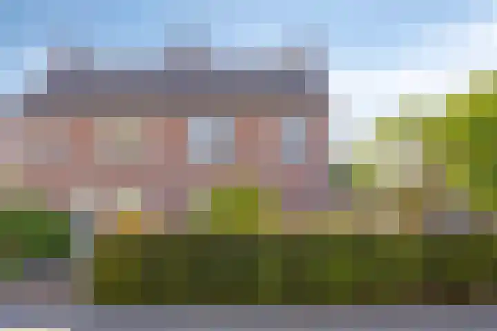 Bruine Akkers 63 Maarheeze thumbnail 49