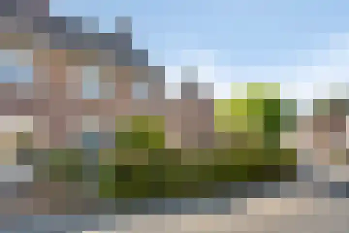 Bruine Akkers 63 Maarheeze thumbnail 8