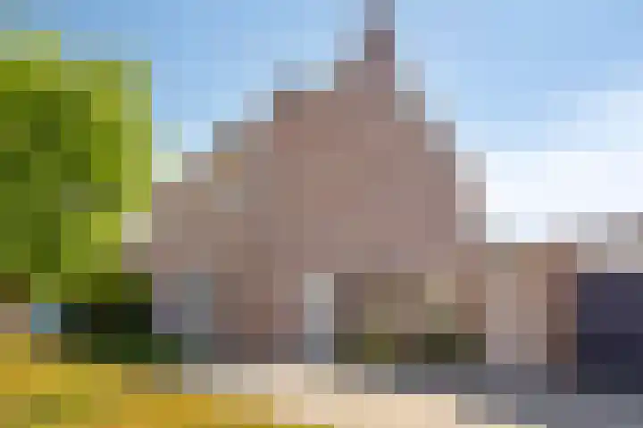 Bruine Akkers 63 Maarheeze thumbnail 9