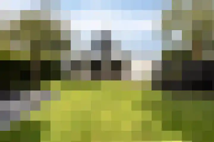 Bruine Akkers 86 Maarheeze thumbnail 4