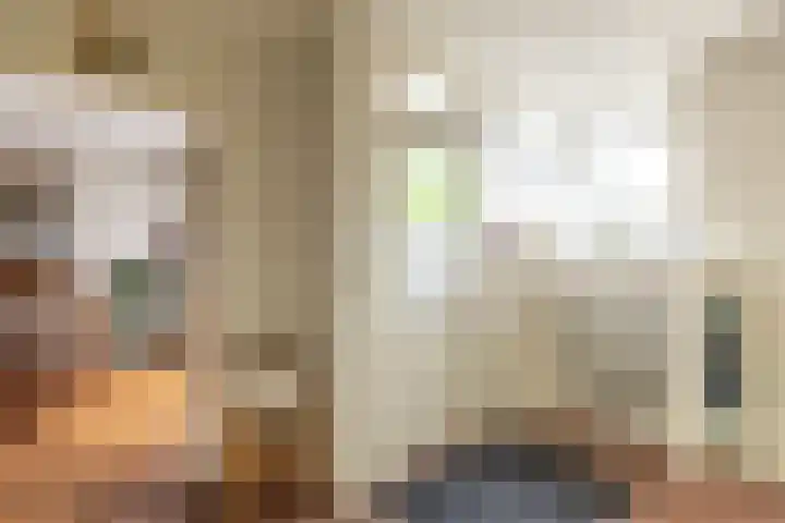 Bruine Berk 7 Zundert thumbnail 16