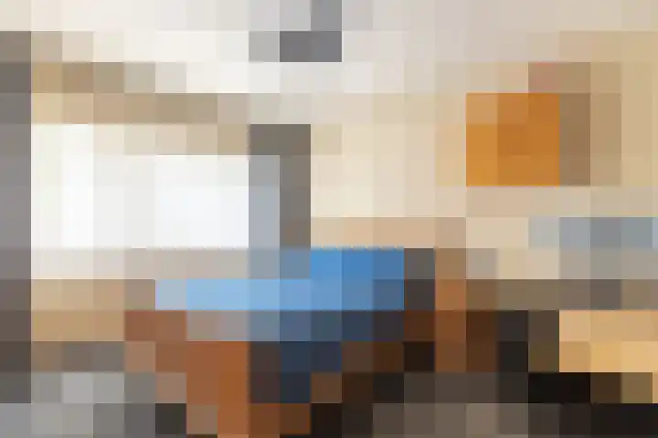 Bruine Berk 7 Zundert thumbnail 19