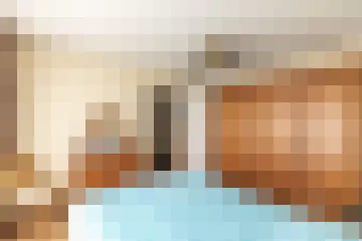 Bruine Berk 7 Zundert thumbnail 22