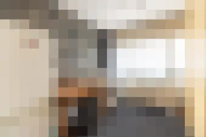 Bruine Berk 7 Zundert thumbnail 23