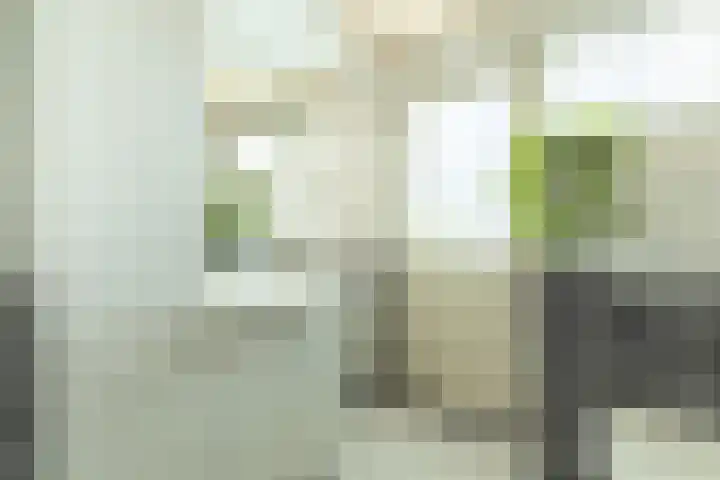 Bruine Berk 7 Zundert thumbnail 24