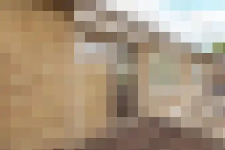 Bruine Berk 7 Zundert thumbnail 26