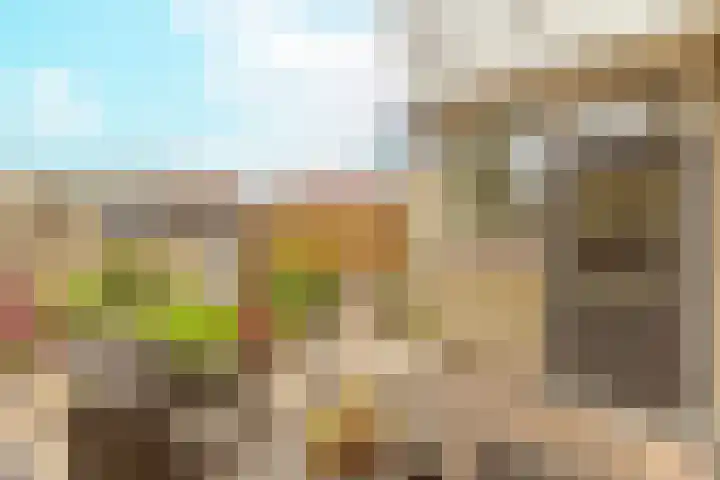 Bruine Berk 7 Zundert thumbnail 31