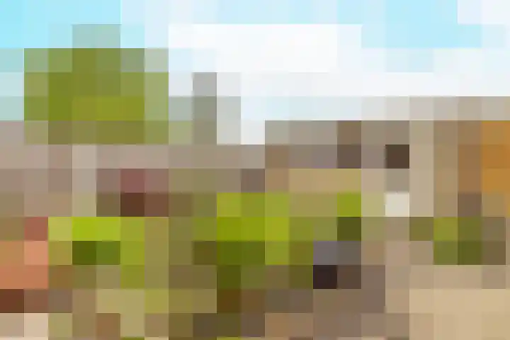 Bruine Berk 7 Zundert thumbnail 32
