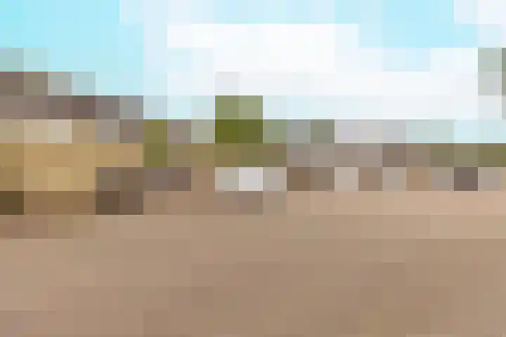 Bruine Berk 7 Zundert thumbnail 38