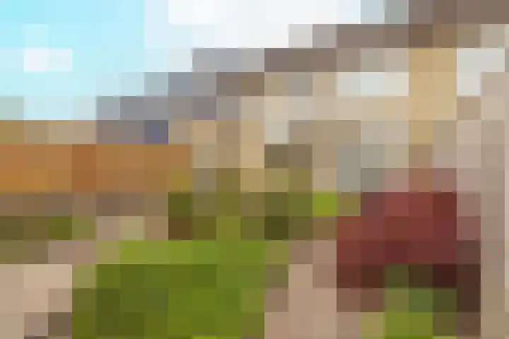 Bruine Berk 7 Zundert thumbnail 4