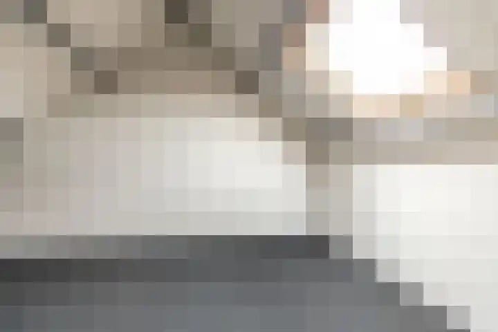 Bruine Berk 7 Zundert thumbnail 5