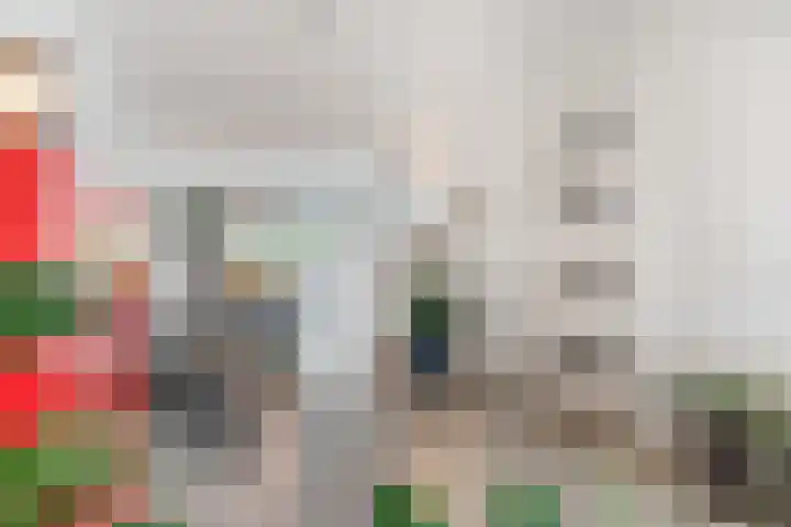 Bruine Eikenpage 52 Tiel thumbnail 10