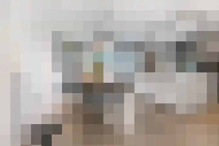 Bruine Eikenpage 52 Tiel thumbnail 12