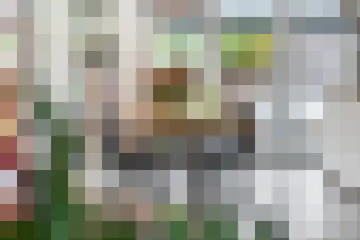 Bruine Eikenpage 52 Tiel thumbnail 13