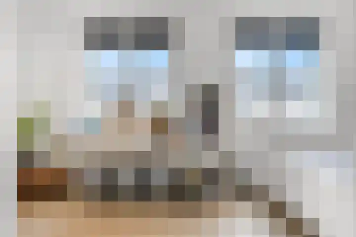 Bruine Eikenpage 52 Tiel thumbnail 29