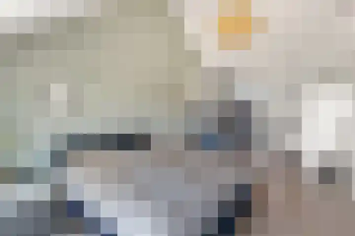 Bruine Eikenpage 52 Tiel thumbnail 44