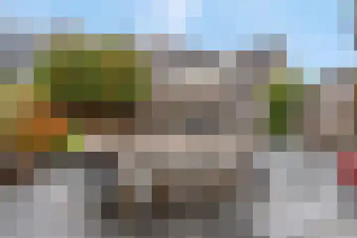 Bruine Eikenpage 52 Tiel thumbnail 48