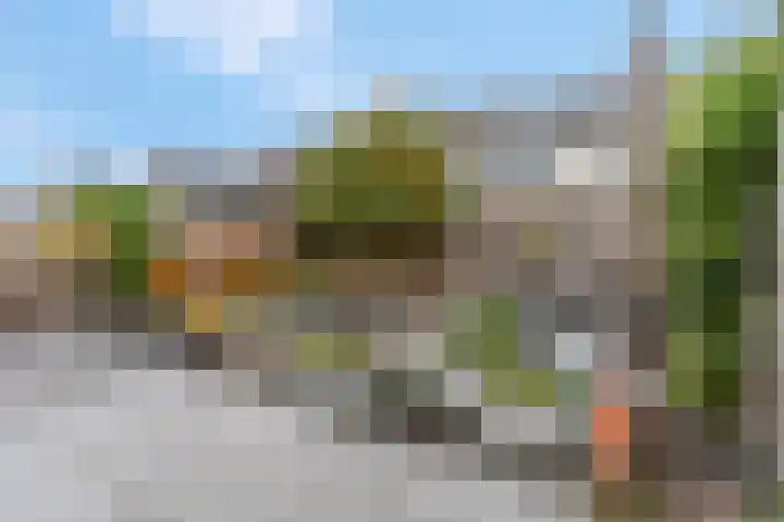 Bruine Eikenpage 52 Tiel thumbnail 49