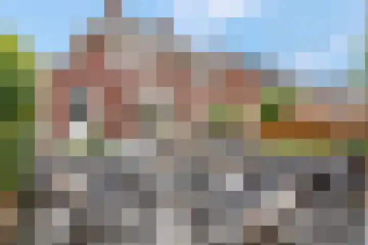 Bruine Eikenpage 52 Tiel thumbnail 5
