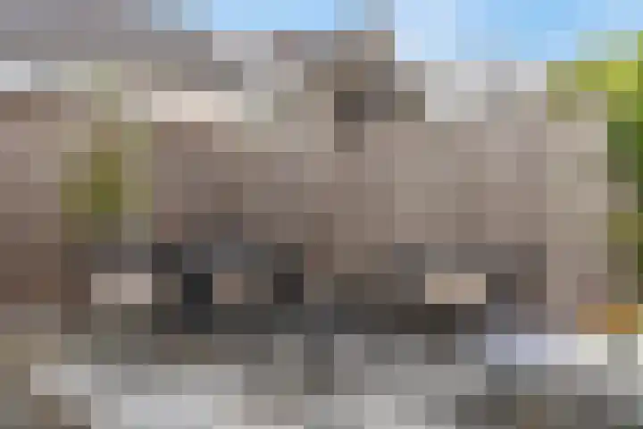 Bruine Eikenpage 52 Tiel thumbnail 50
