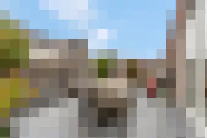 Bruine Eikenpage 52 Tiel thumbnail 53
