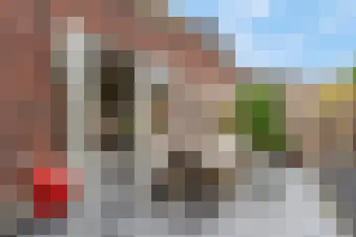 Bruine Eikenpage 52 Tiel thumbnail 54