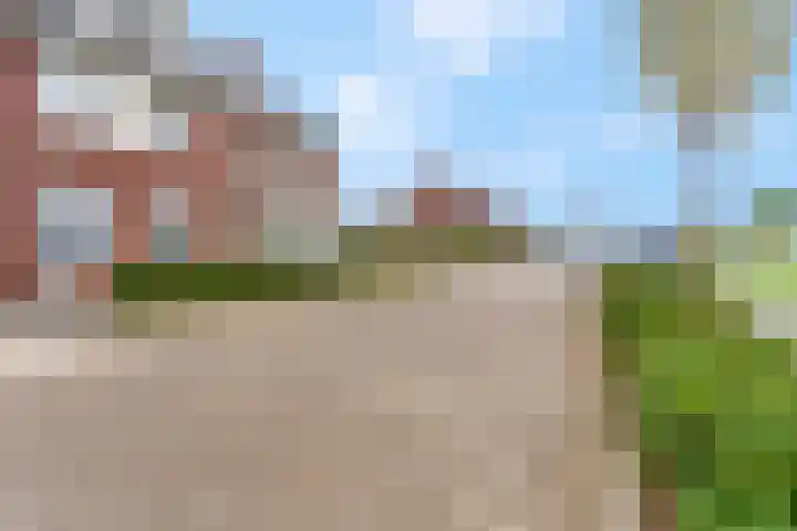 Bruine Eikenpage 52 Tiel thumbnail 55