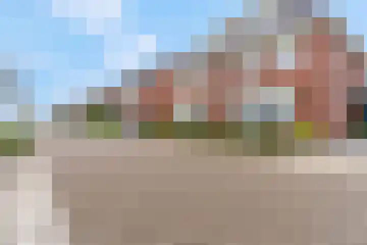 Bruine Eikenpage 52 Tiel thumbnail 56