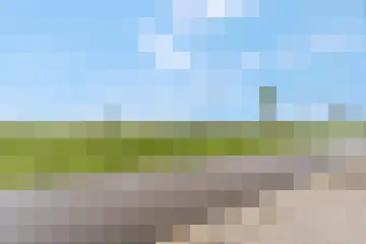 Bruine Eikenpage 52 Tiel thumbnail 57