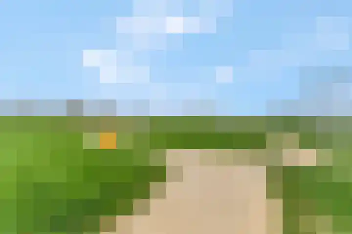 Bruine Eikenpage 52 Tiel thumbnail 62