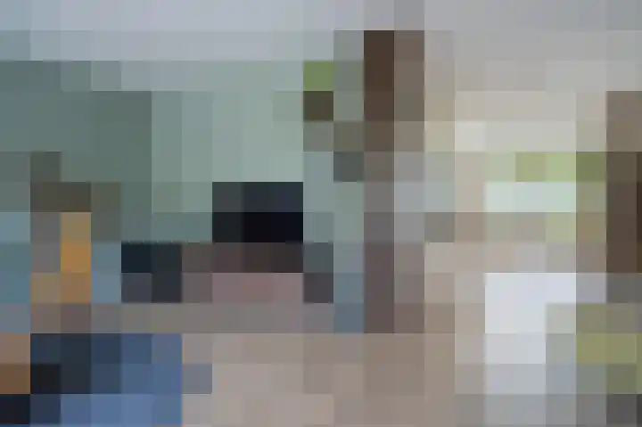 Bruine Eikenpage 60 Tiel thumbnail 11