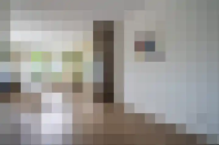Bruine Eikenpage 60 Tiel thumbnail 14